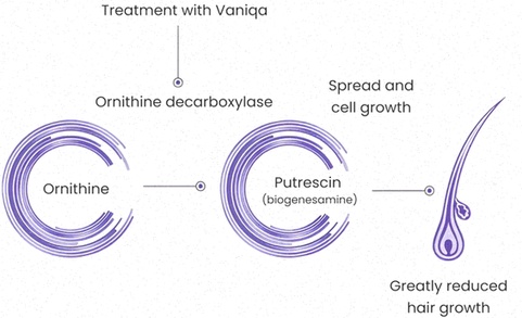 vaniqa
